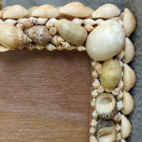 Seashell Picture Frame. - Picture 4 of 8